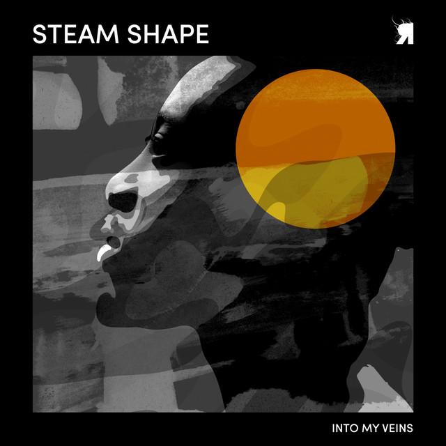 Photo of Steam Shape