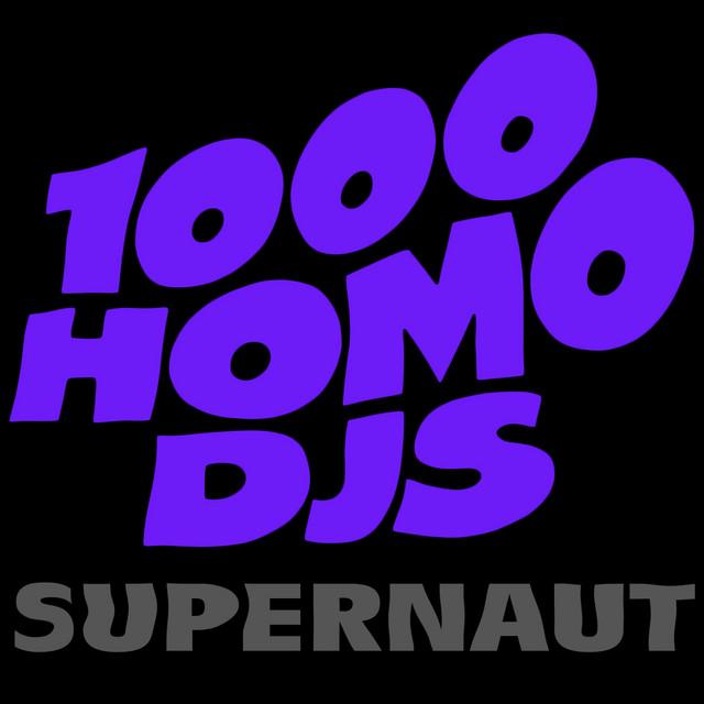 Photo of 1000 Homo DJs